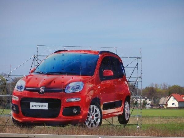 Panda gigant