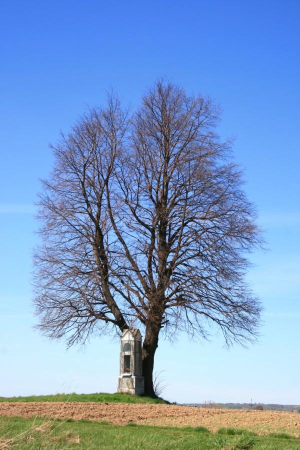 Kapliczka przy szlaku