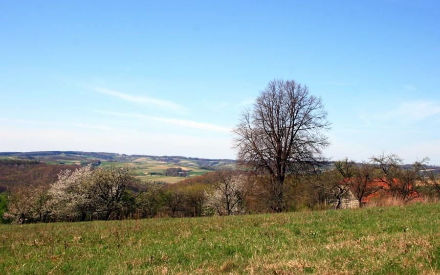 Wiosenne Pogórze Strzyżowskie