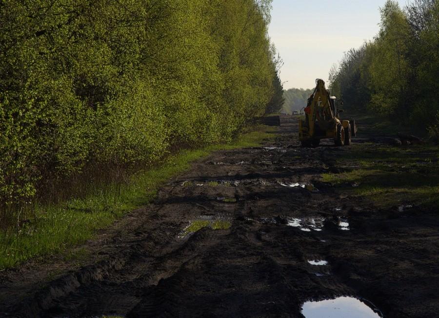 potwora która mnie goniła po lesie