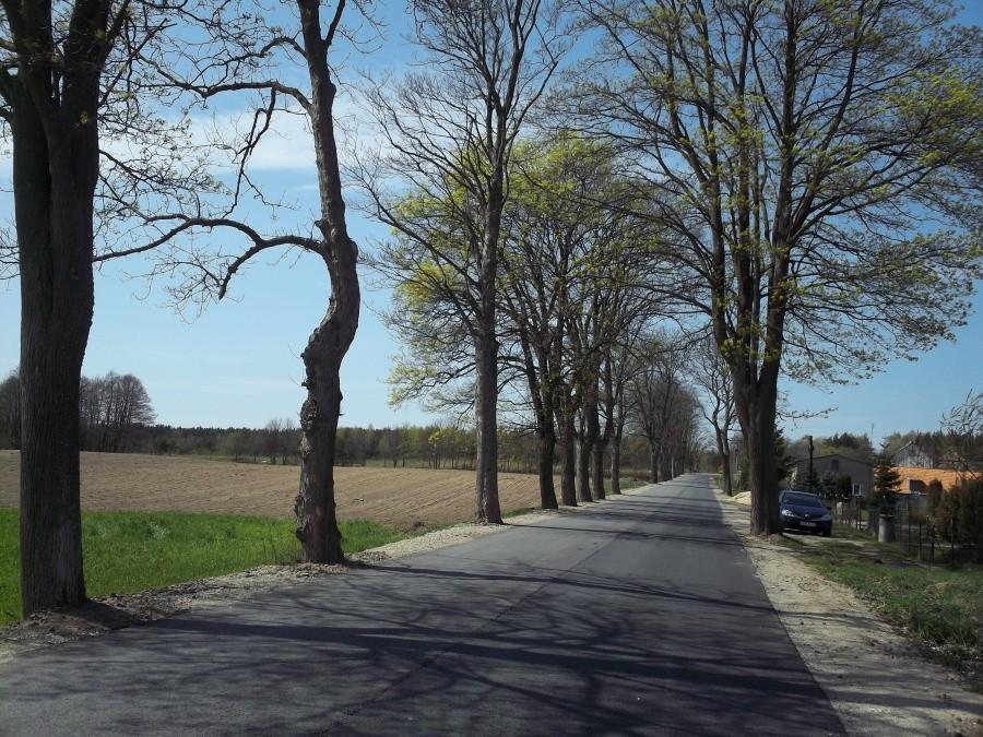 Nowy asfalt w Gołębiewie