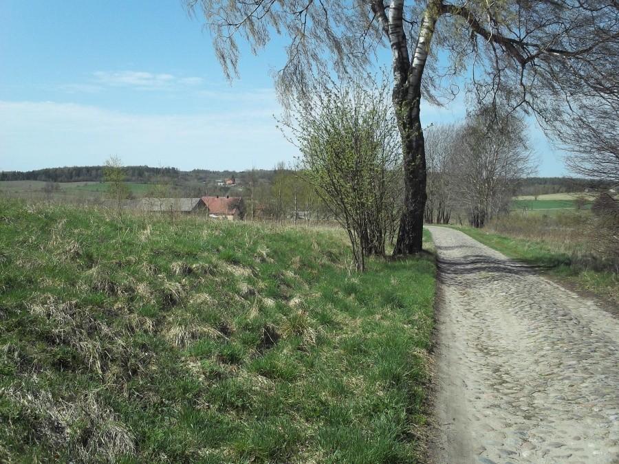 I znów w jeszcze gorszy bruk (Olszanka)