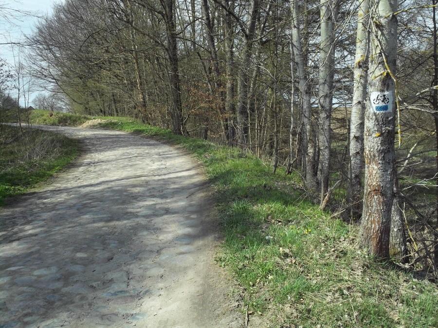 Koślawy bruk i ostro pod górę - ale znak na drzewie mówi że rowerem to tędy :)