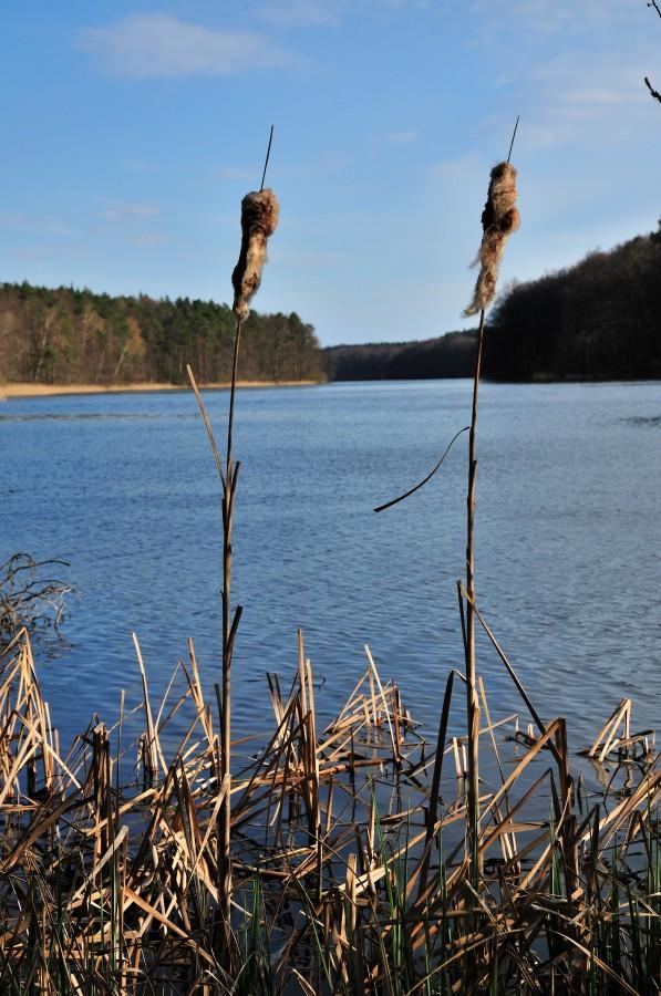 Jezioro Zduńskie