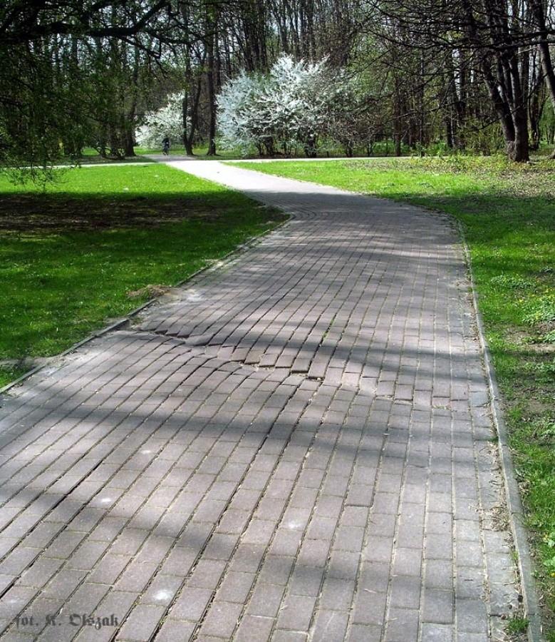 Pęknięta droga
