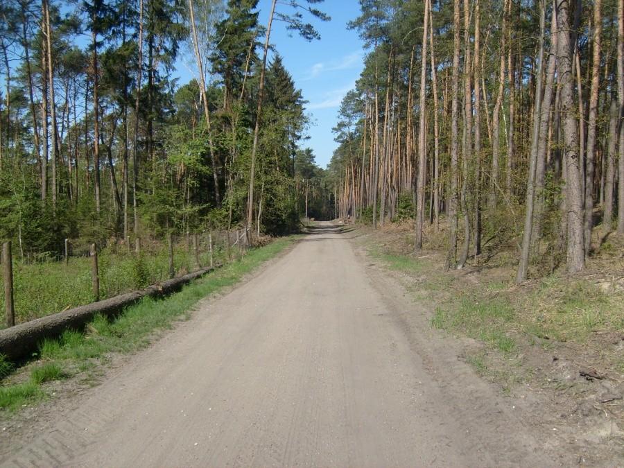 Czarna droga Zbiersk Piskory Lipe