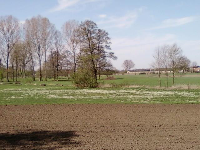 Kwietna łąka