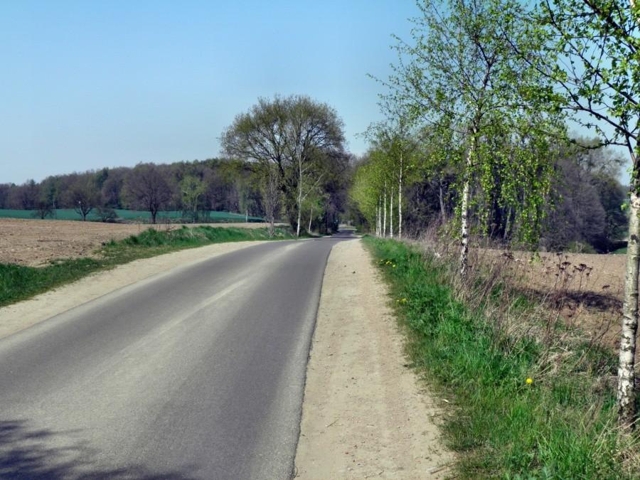 Z przyjemnością jeździ się po takich drogach, tu trasa z Ramin do Löcknitz .
