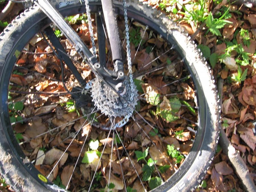Full suspension singlespeed :)