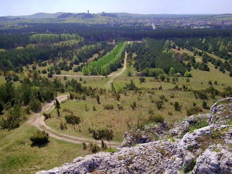Widok z Towarnych w stronę Olsztyna.