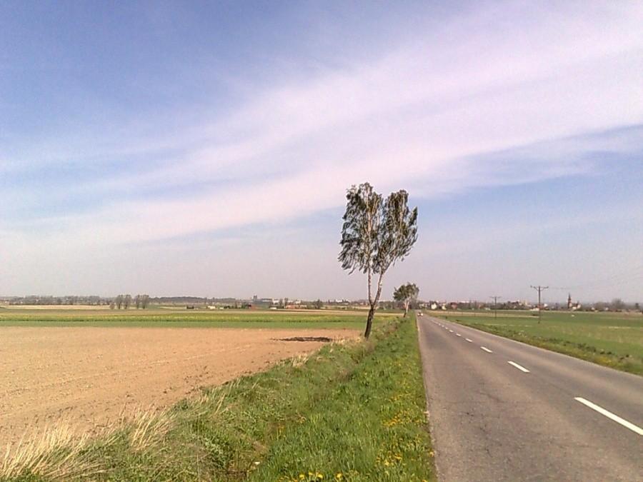 Droga z Sudół na Bojanów