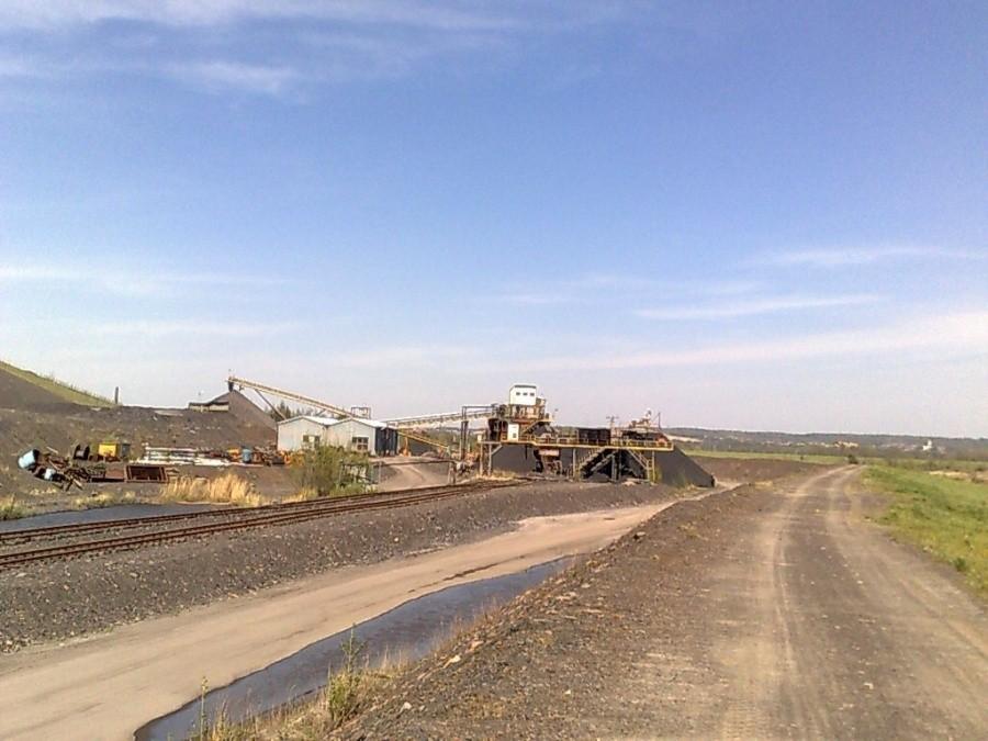 Widok z wału. Polder Buków