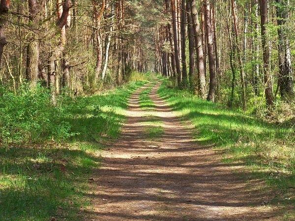 Szlak rowerowy w okolicy Kaliszek