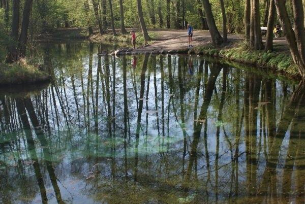 Rezerwat Niebieskie Źródła