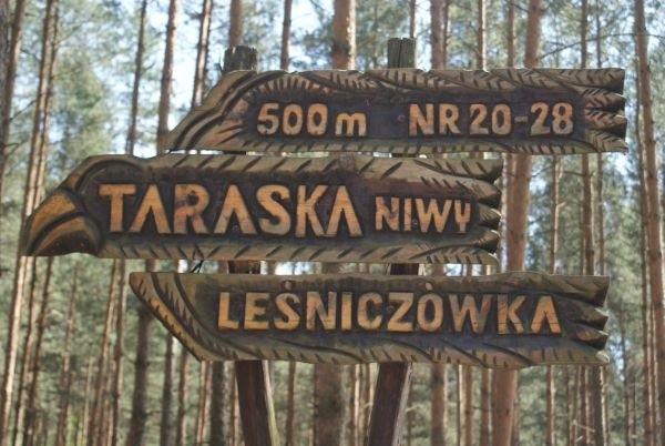 mój pierwszy raz w Tarasce
