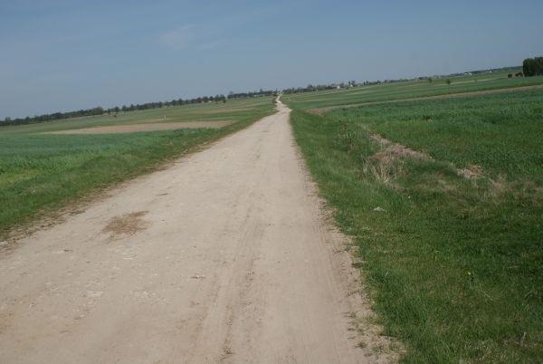 ścieżynką przez pole, nic dodać nic ująć, tutaj telepie mną dość ostro