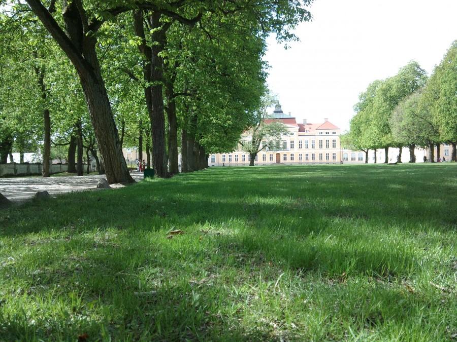 ... pałac w Rogalinie ...