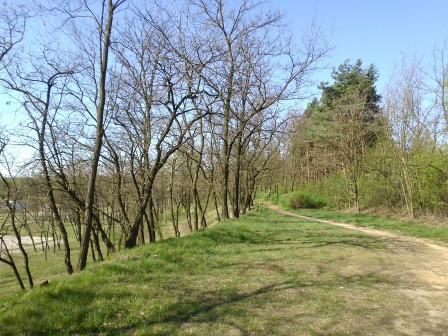 Jaworzno: Zalew Sosina