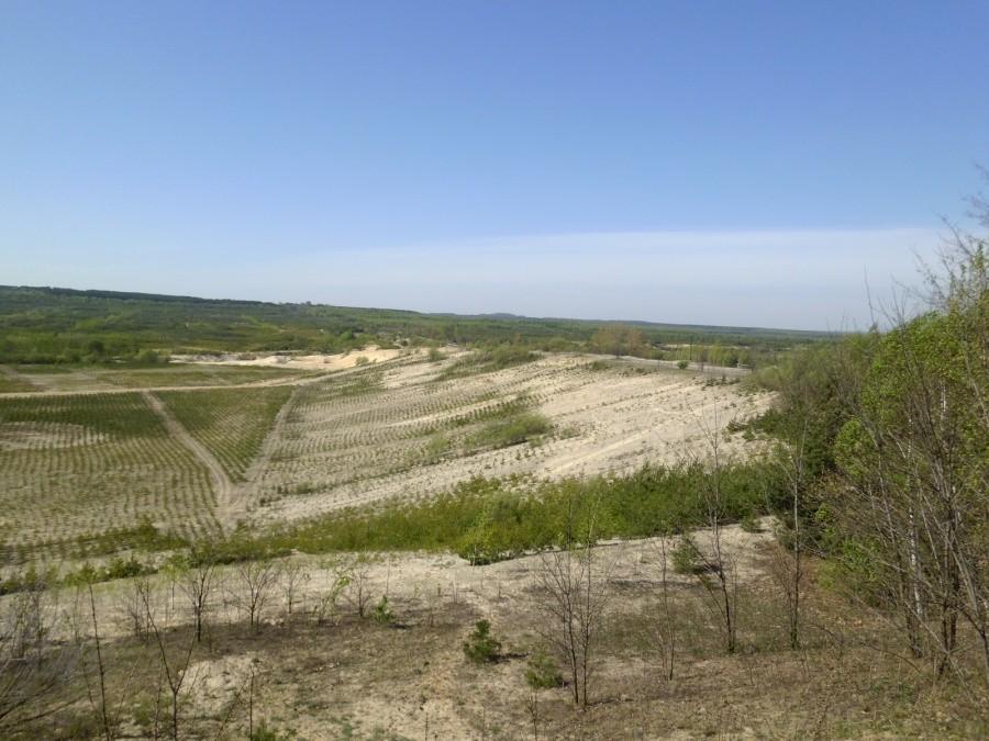 Bukowno: Obrzeża. Widoczek na Czyżówkę i kanion.