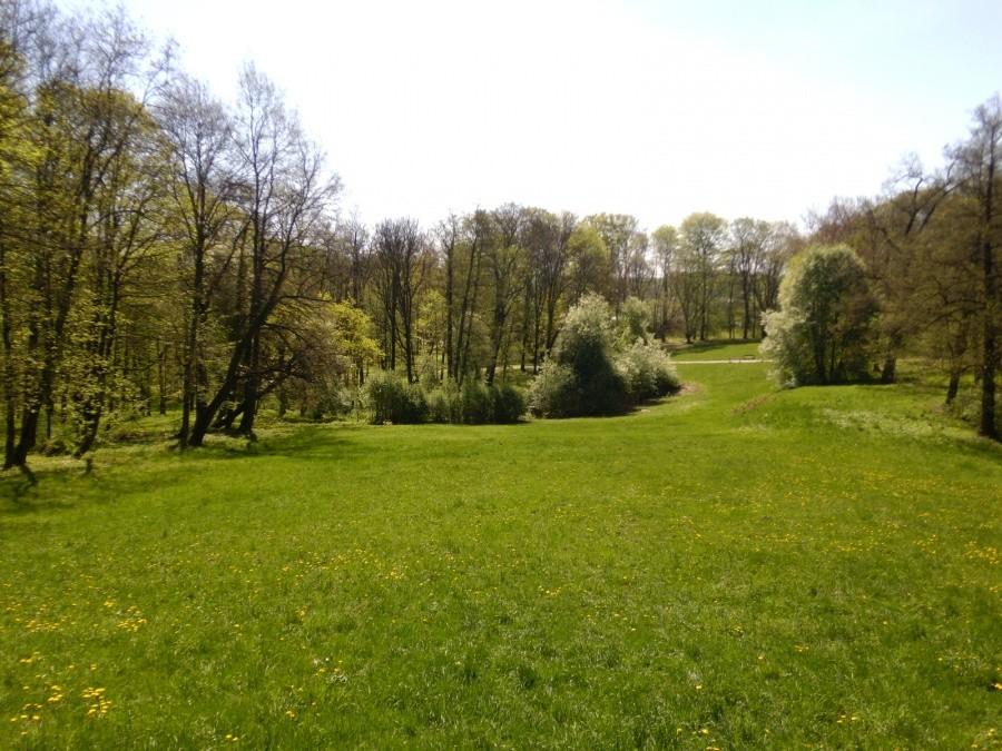 Krzeszowice: Park miejski.