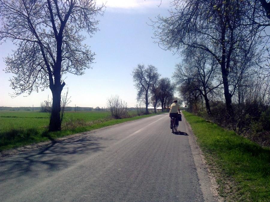 Rowerzystka z Parzniewic