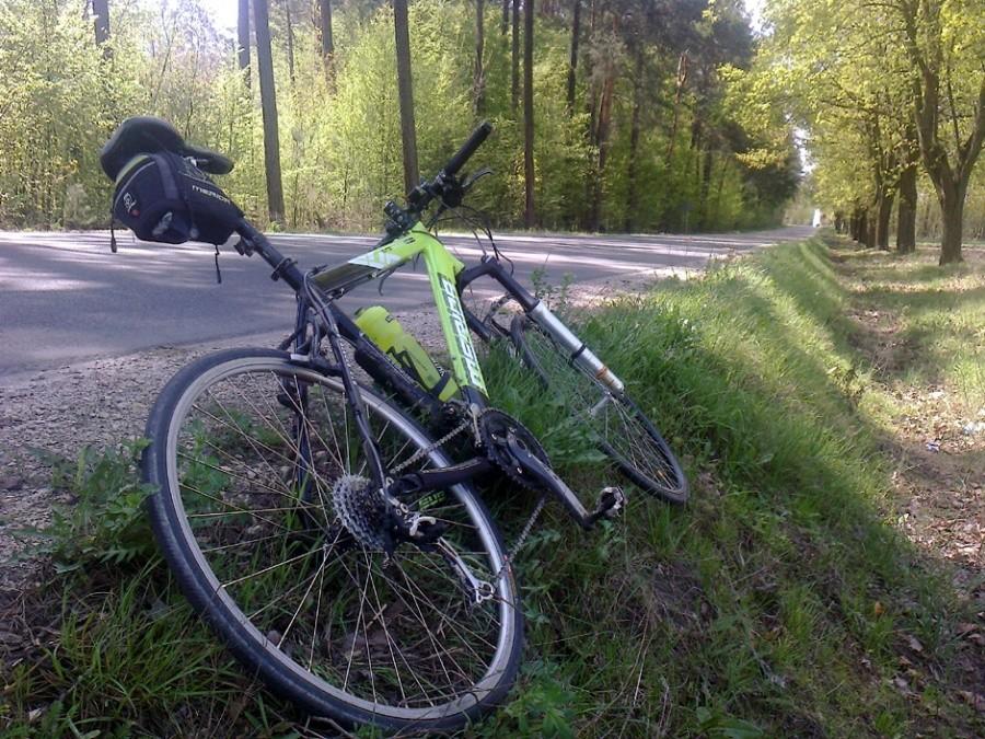 Droga do Pajęczna z Siedlca