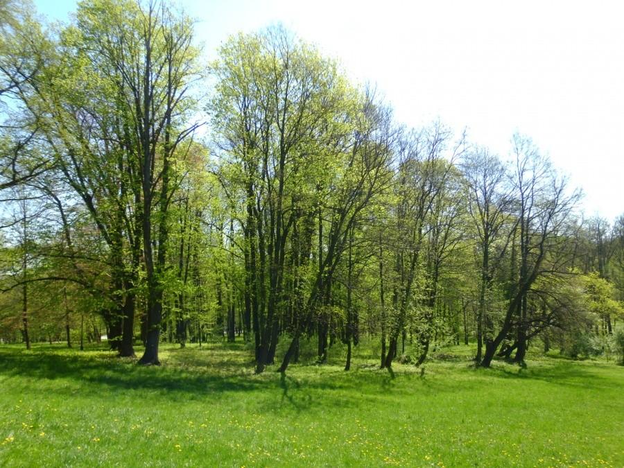 Krzeszowice: Park miejski