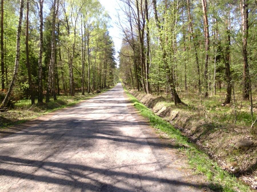 Tenczynek: Okolica parkingu u podnuża zamku w Rudnie.