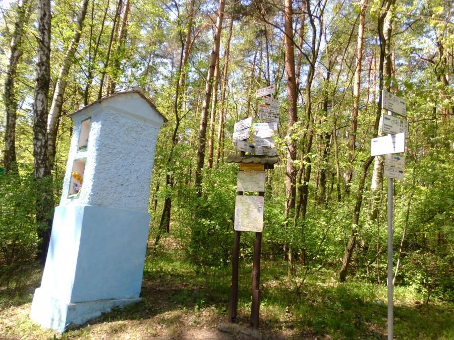 Rudno: Sporo opcji gdzie można pokręcić. W tym R4 na Kraków.