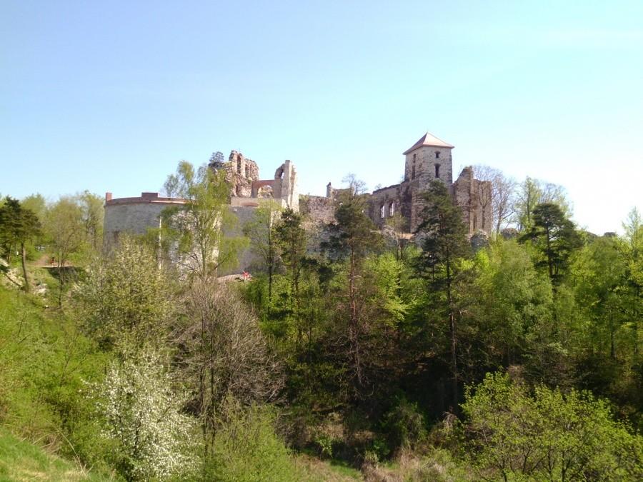 Rudno: Zamek Tenczyński