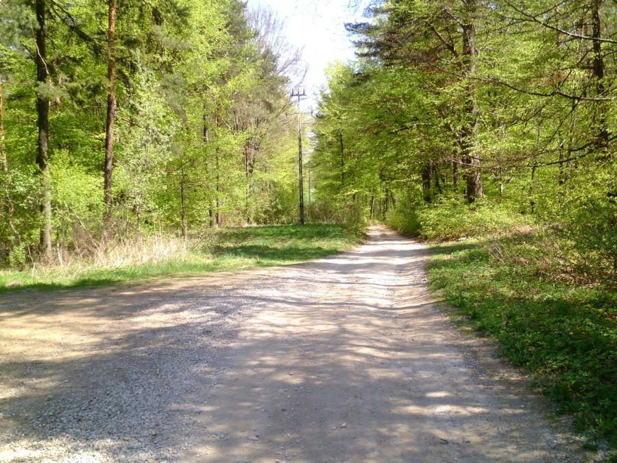 Na niebieskim szlaku rowerowym na Psary. Chwila wytchnienia.
