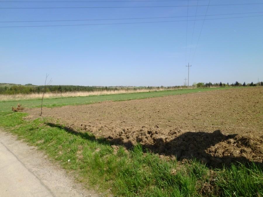 Na niebieskim szlaku na Psary