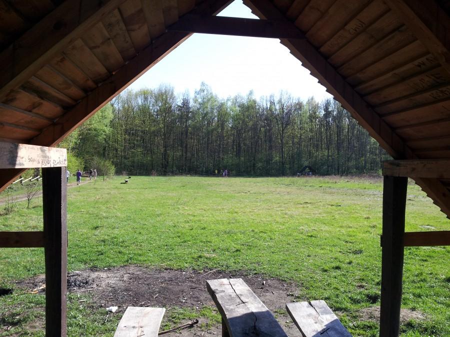 Polana Opaleń