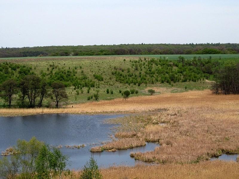 Góra - dolina Cybiny