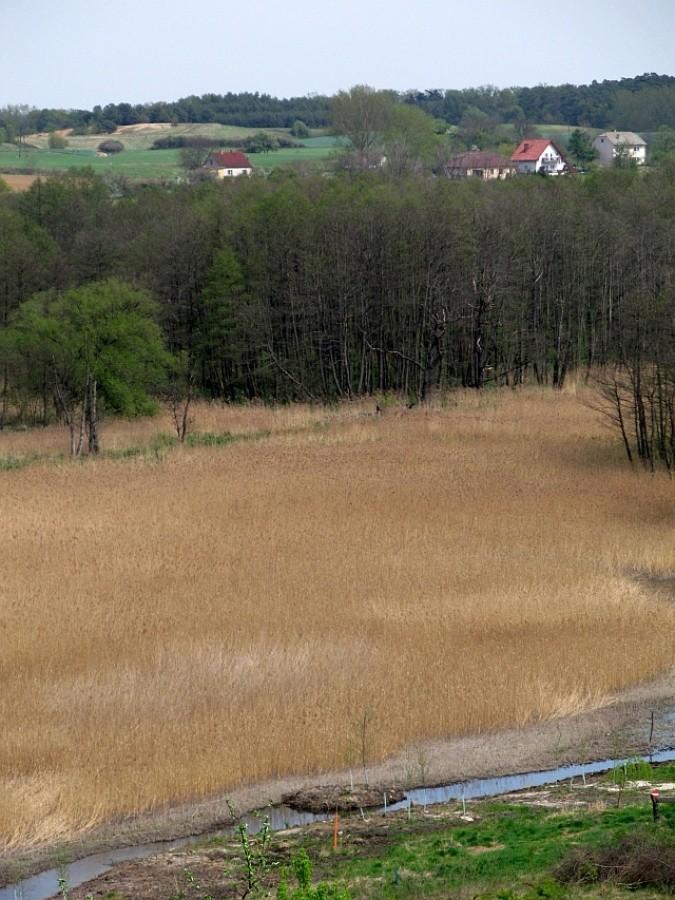 Góra - widok na dolinę Cybiny