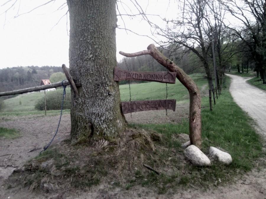 może tak się przesiąść na konia :)