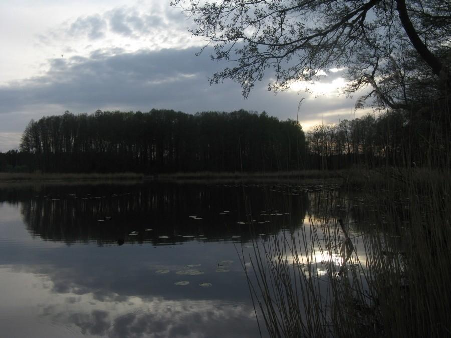 Żurawno