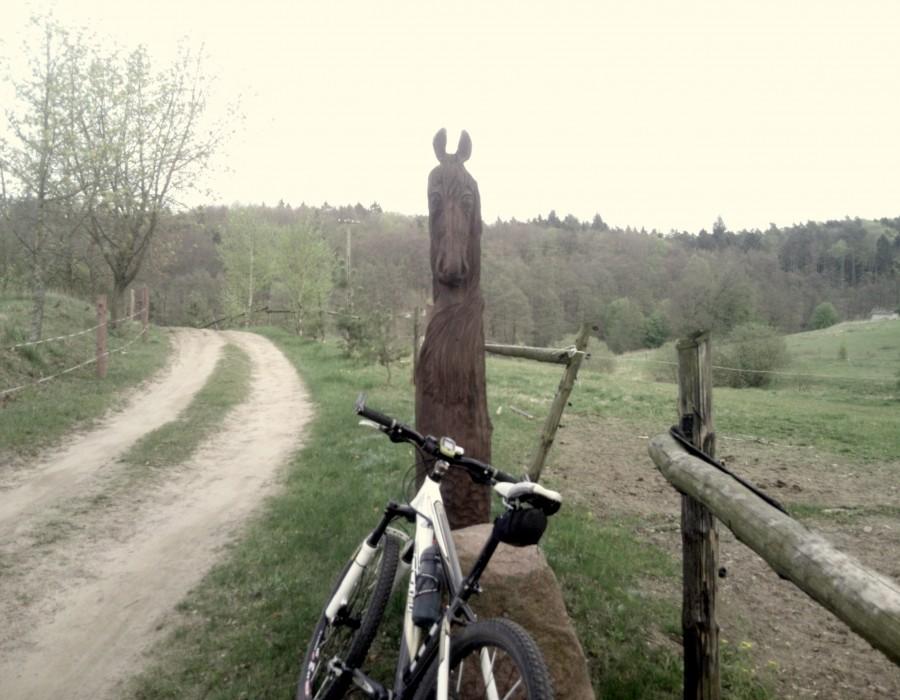 grzeczny konik ...