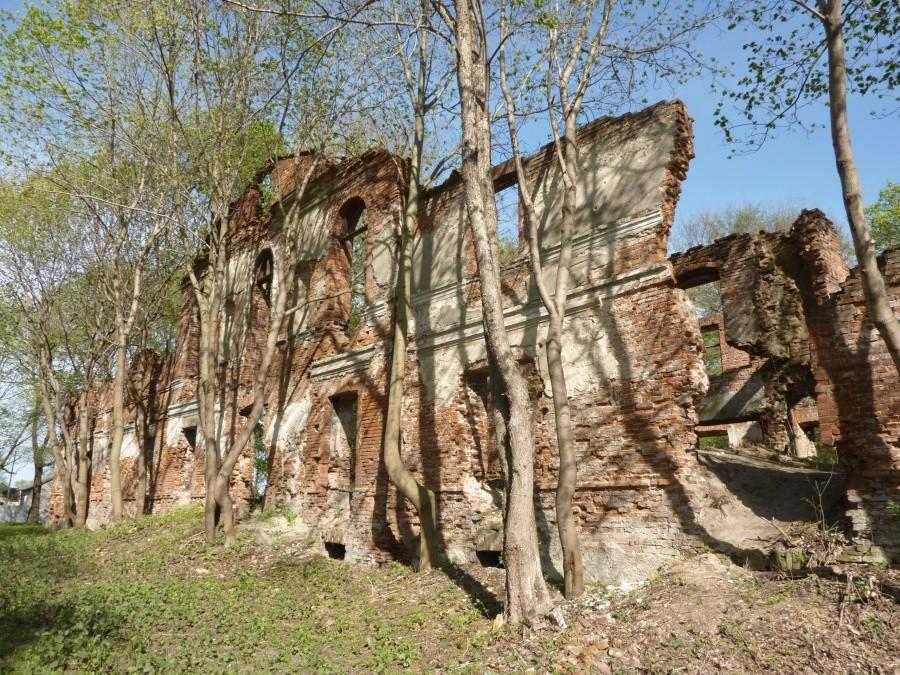 Ruiny pałacu rodziny Łubieńskich w Okuniewie