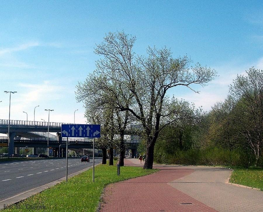 Relikty Czerniakowskiej (1)