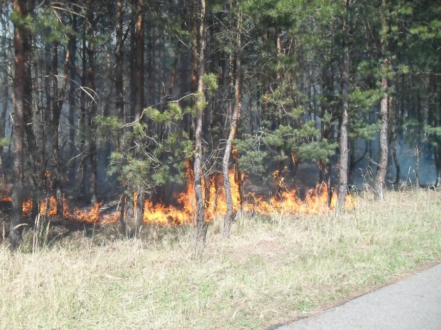 ogień z lewej na rowerostradzie na Olsztyn