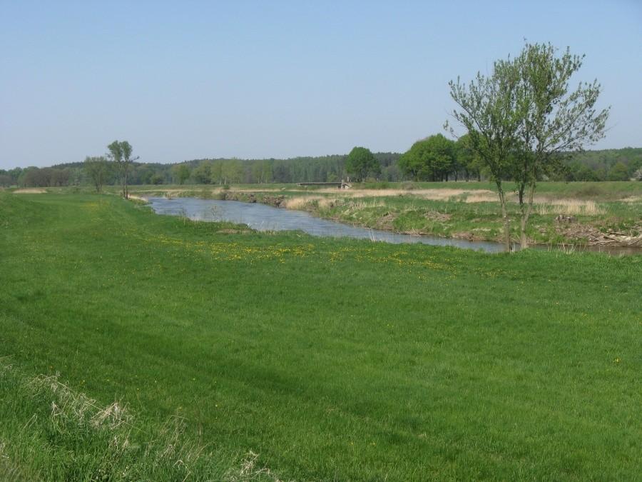 Nysa Łużycka
