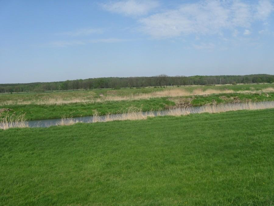 Nysa Łużycka