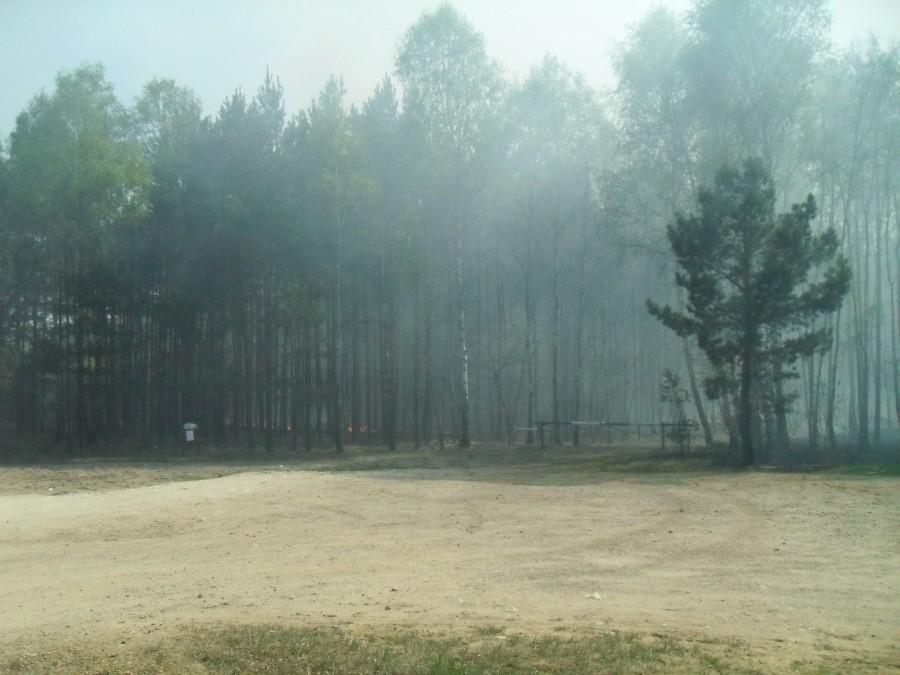 płonąca polana
