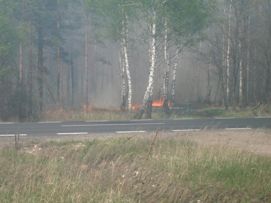 ogień przeskoczył przez drogę 46