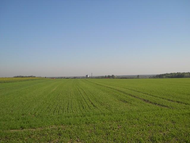 widok na dzielnię