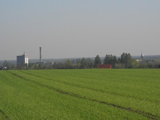 dzielnia z bliska