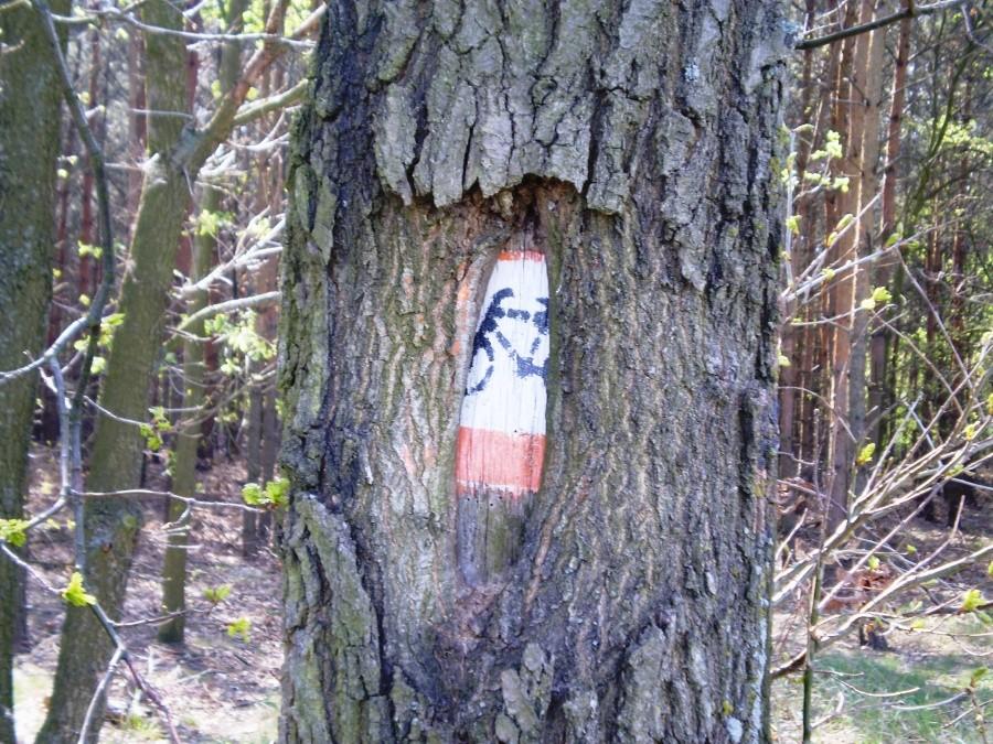 Oznaczenie szlaku się schowało :)