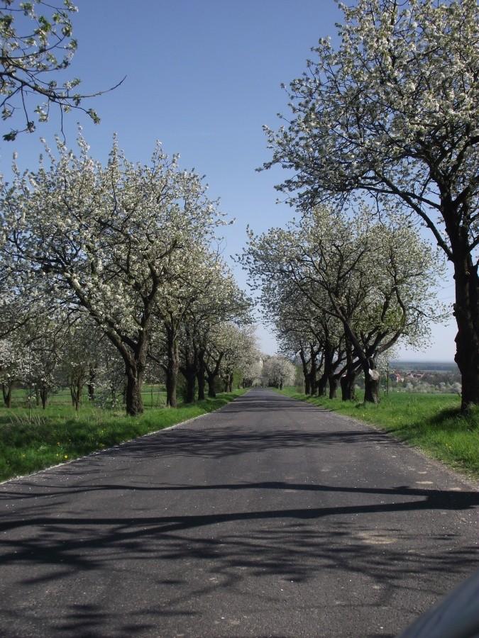Po Maratonie - czereśniowy Annaberg