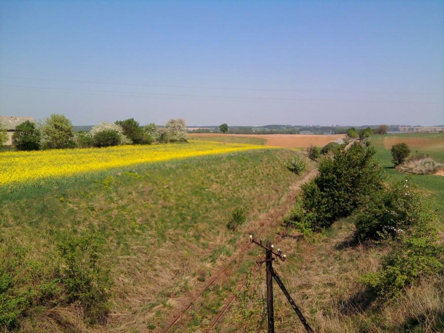 Wiosenne widoki na Szlaku Pałuckim w okolicy Kierzkowa